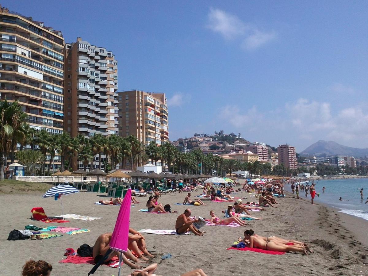 Del Parque Flats Flores Premium Malaga